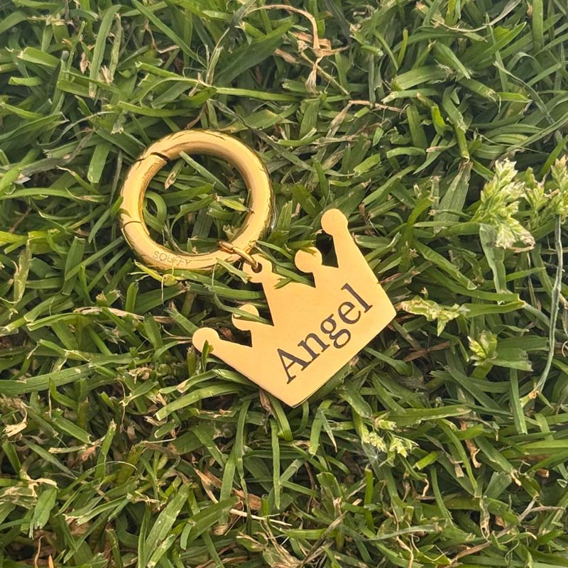 Placa de Corona Grabada para Perro