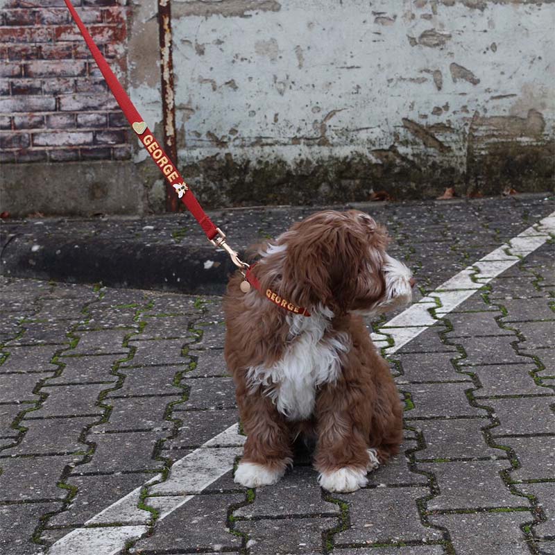 Collar Cachorro Ruby Gale Rojo Rubí