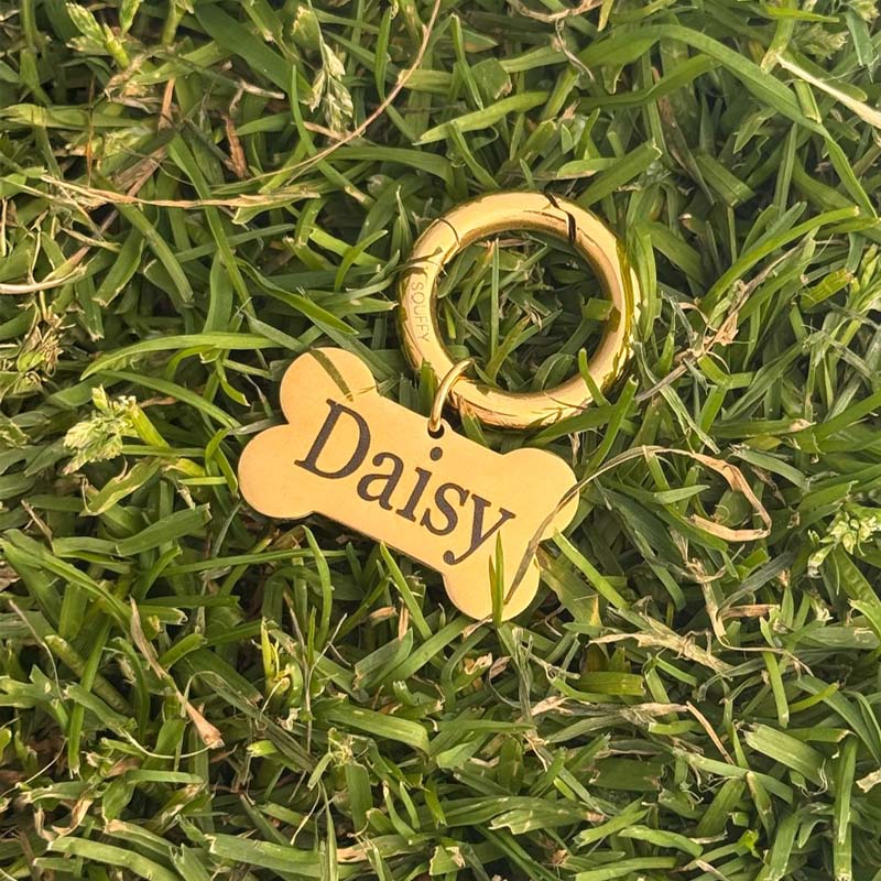 Placa de Hueso Grabada para Perro