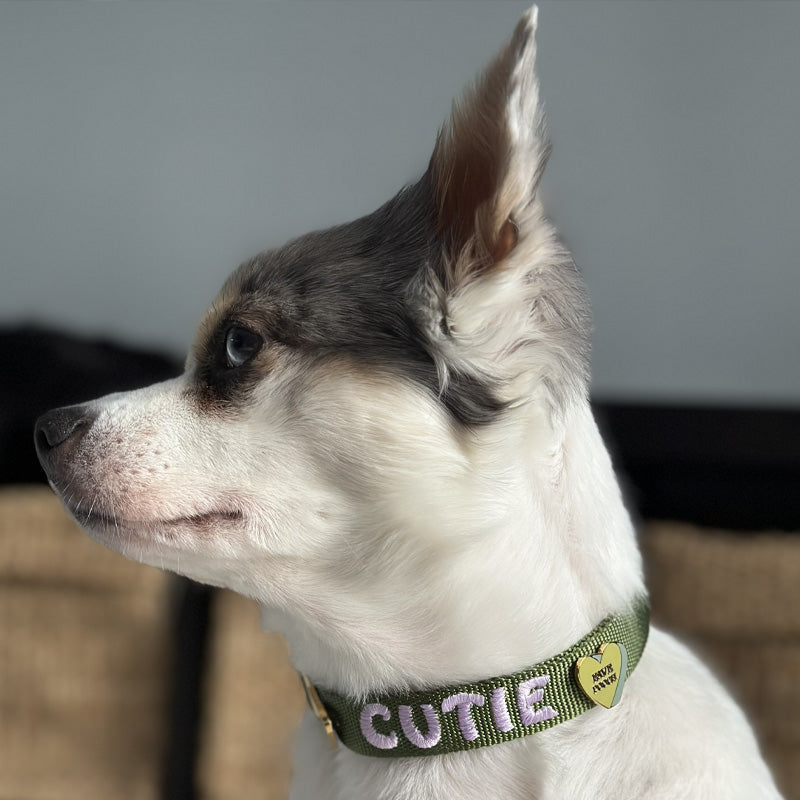Fave Pooch Corazón