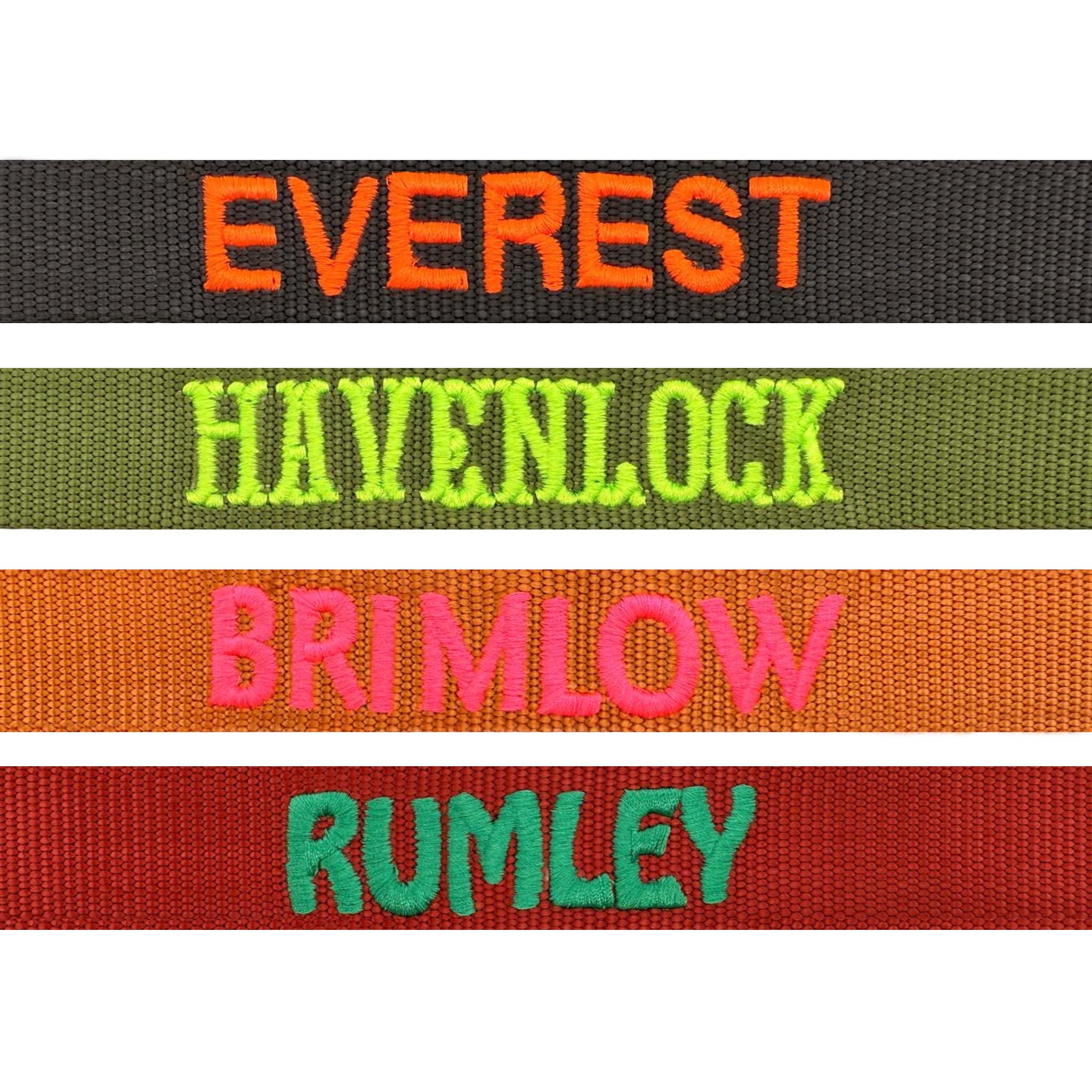 Correa Clásica Perro Raven Illume Negro