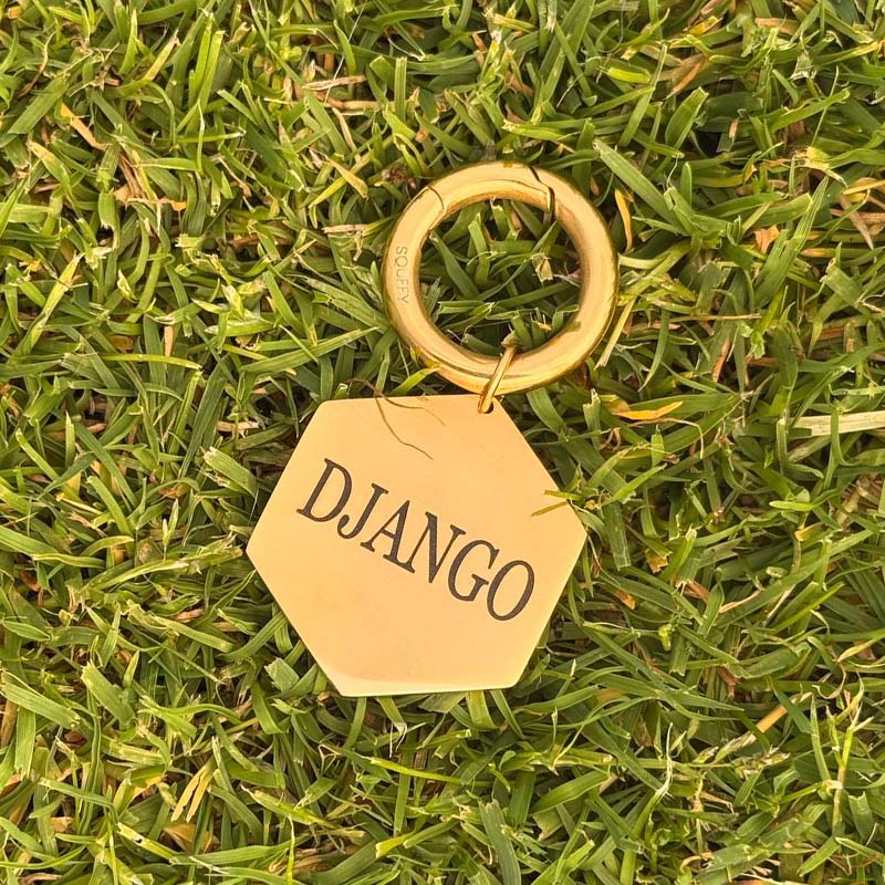 Placa Hexagonal Grabada para Perro