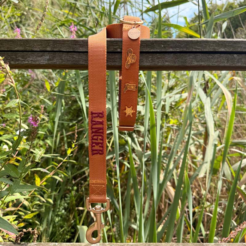 Collar Clásico Perro Honey Drift Coñac