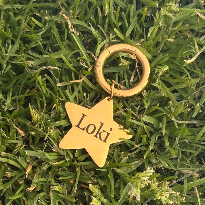 Placa de Estrella Grabada para Perro