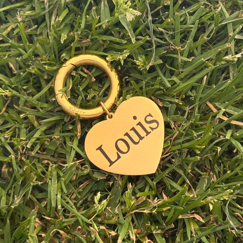 Placa de Corazón Grabada para Perro