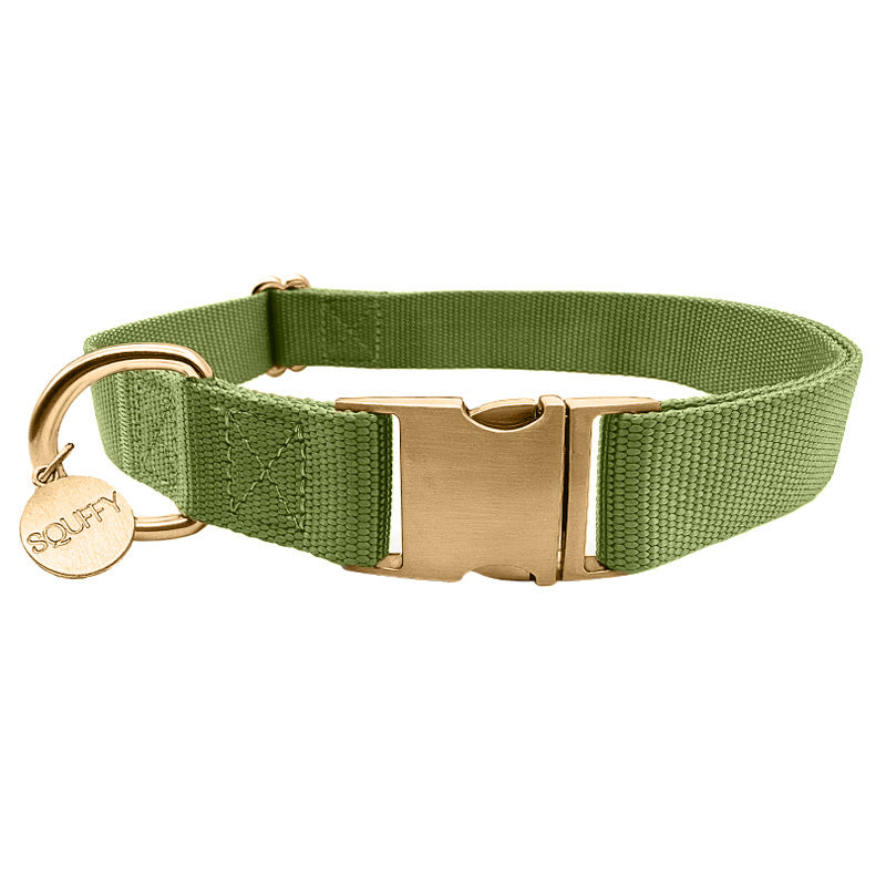 Collar Clásico Perro Moss Breeze Verde Oliva