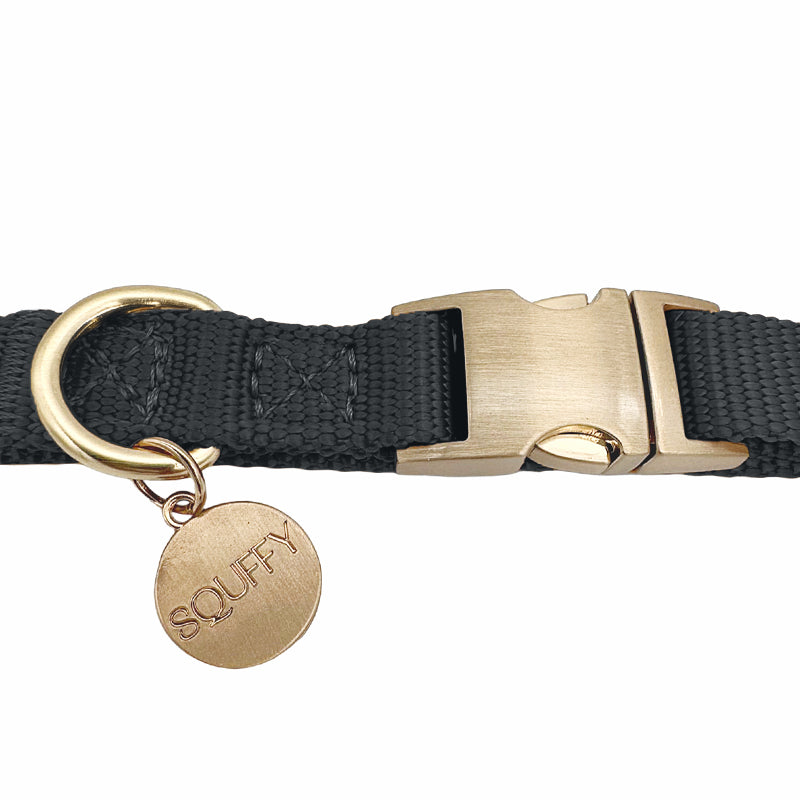 Collar Cachorro Raven Illume Negro