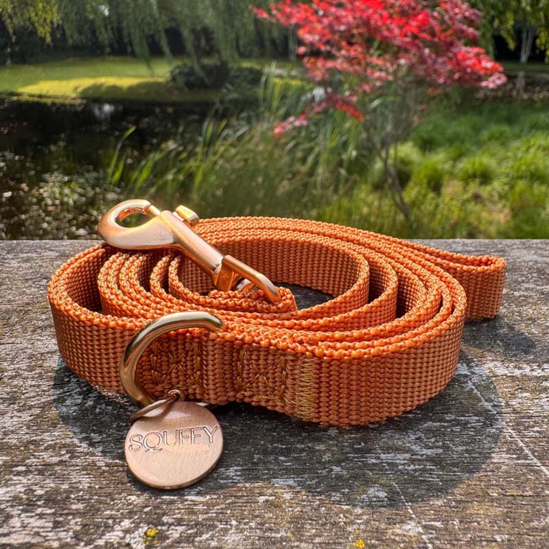 Correa Cachorro Honey Drift Coñac