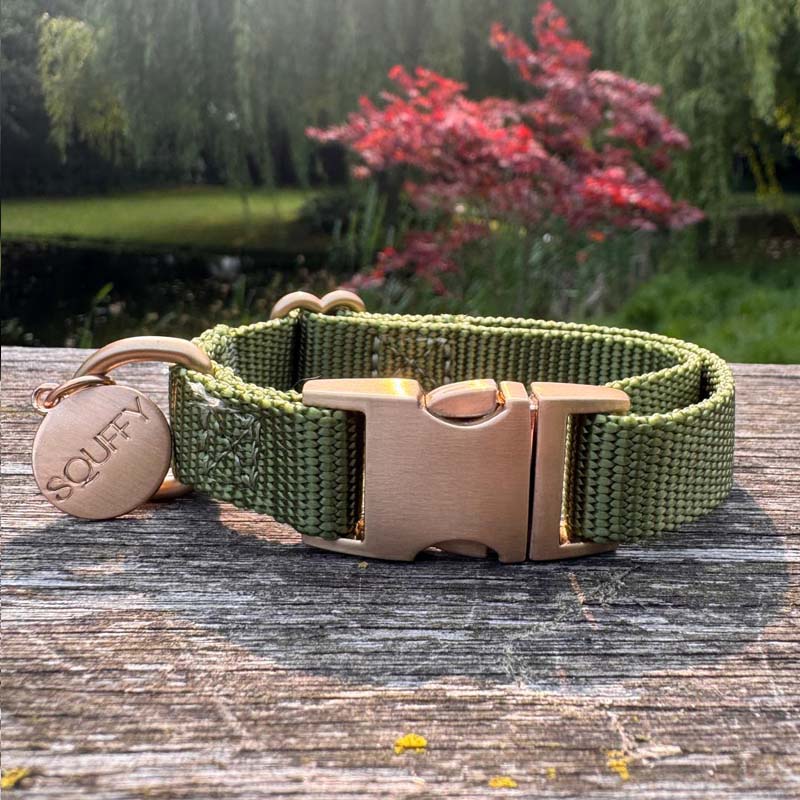 Collar Cachorro Moss Breeze Verde Oliva