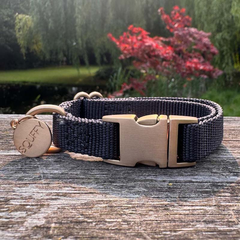 Collar Cachorro Raven Illume Negro