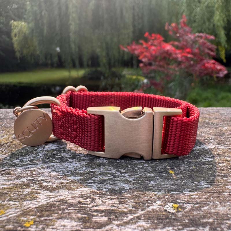 Collar Cachorro Ruby Gale Rojo Rubí