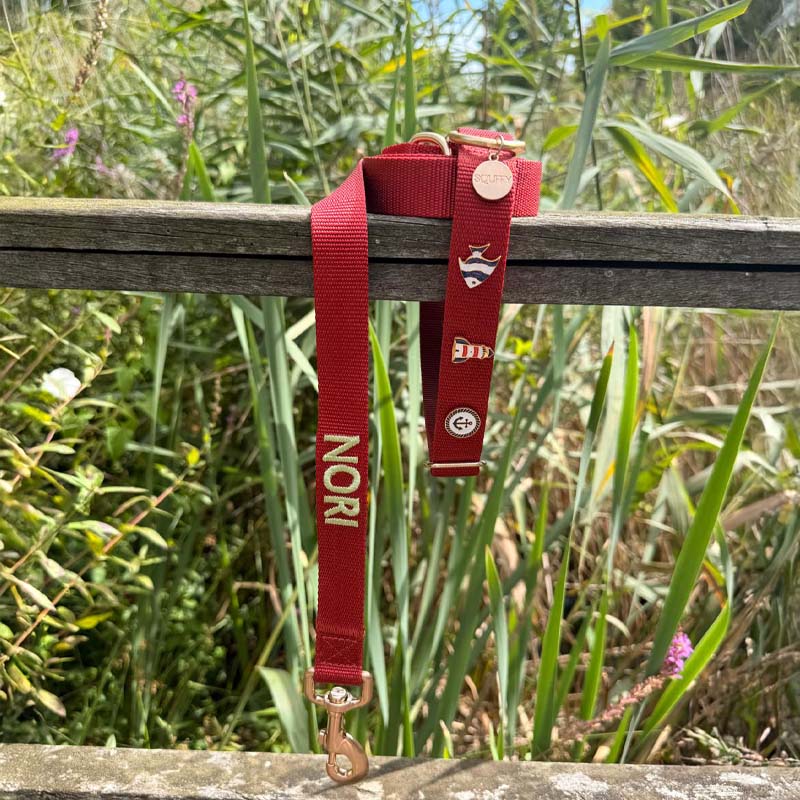 Collar Clásico para Perro Ruby Gale Rojo Rubí