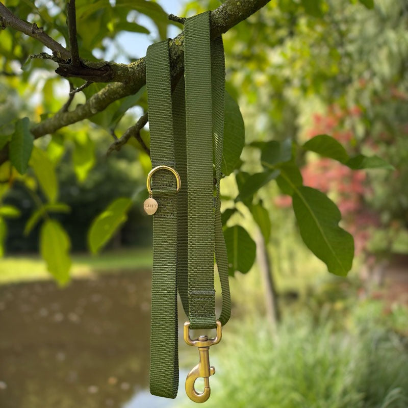 Correa Clásica Perro Moss Breeze Verde Oliva