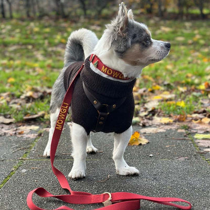 Correa Clásica Perro Ruby Gale Rojo Rubí