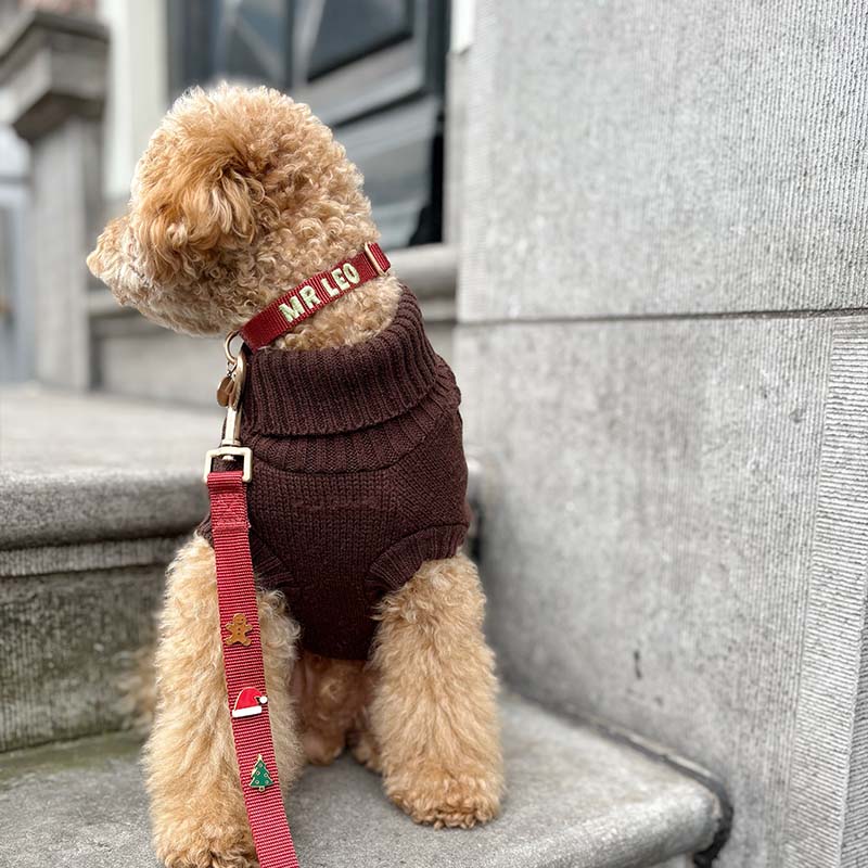 Collar Cachorro Ruby Gale Rojo Rubí