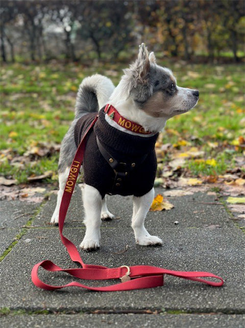 <p>Customer Experiences</p>