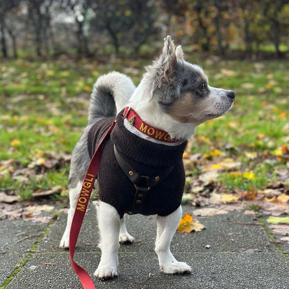 Collar Clásico para Perro Ruby Gale Rojo Rubí
