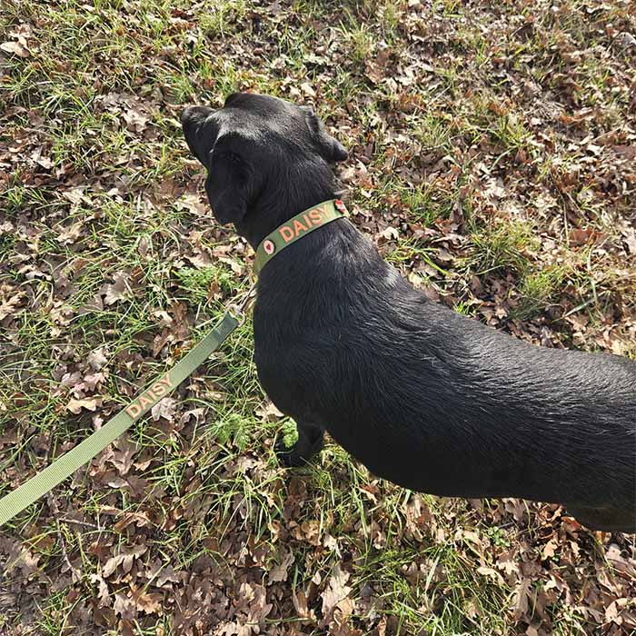 <p>Customer Experiences</p>