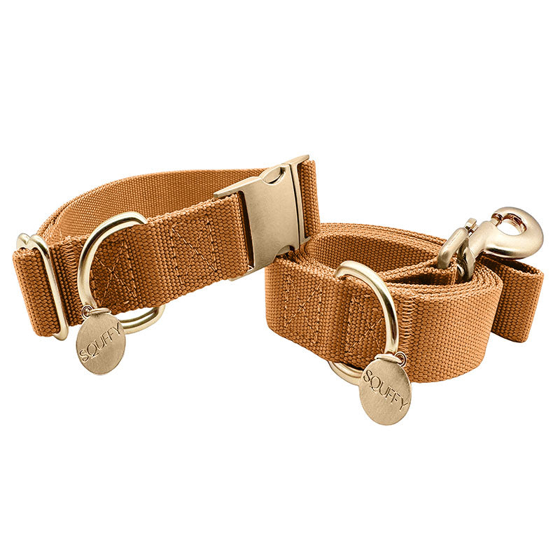 Collar Clásico  Perro Honey Drift Coñac