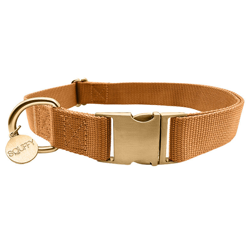 Collar Clásico  Perro Honey Drift Coñac