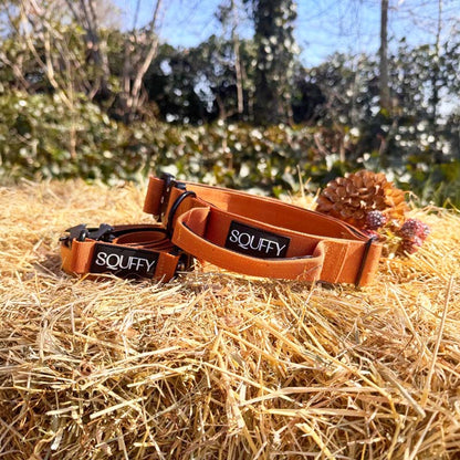 Collar Táctico Perros Honey Maze Coñac