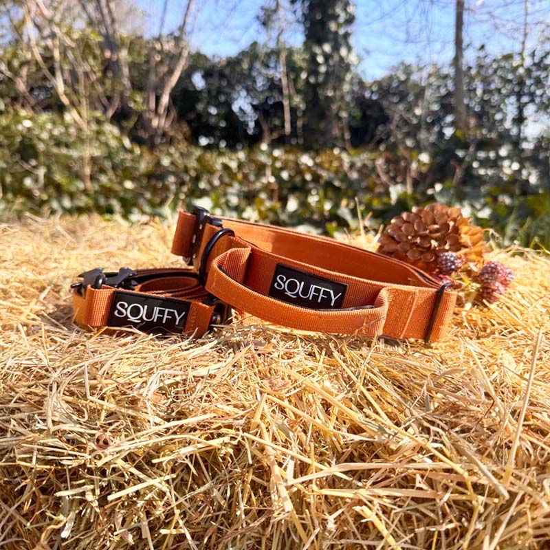 Collar Táctico Perros Honey Maze Coñac