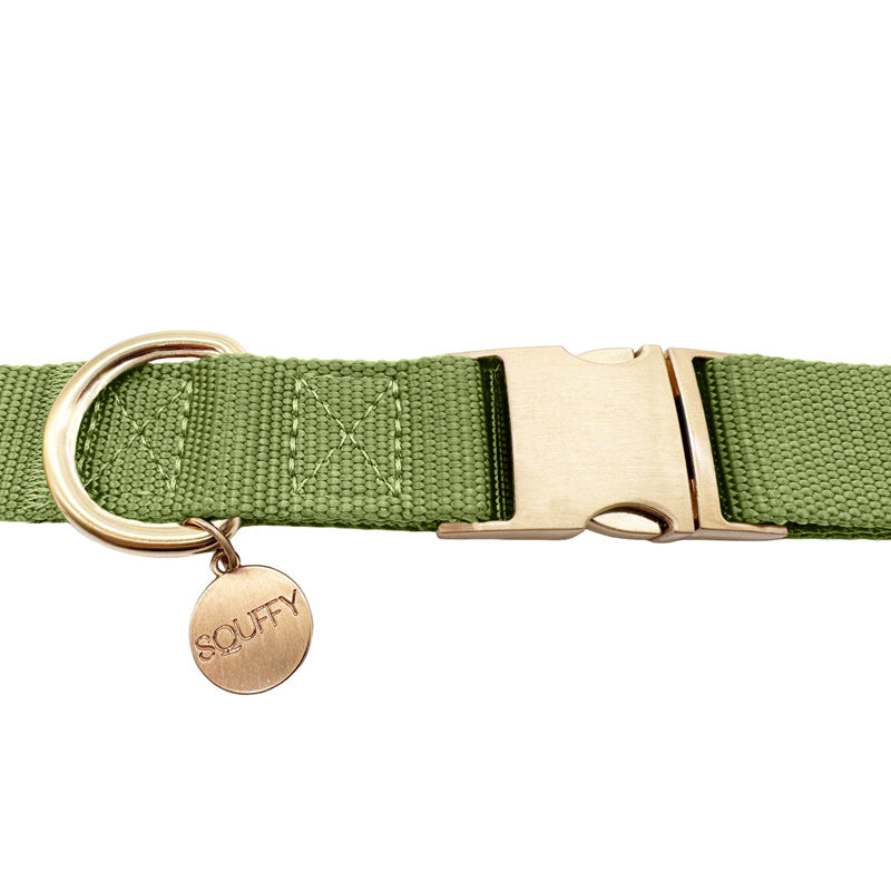Collar Clásico Perro Moss Breeze Verde Oliva