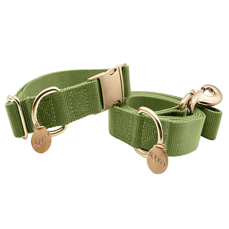 Collar Clásico Perro Moss Breeze Verde Oliva