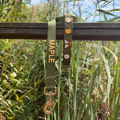 Collar Clásico Perro Moss Breeze Verde Oliva