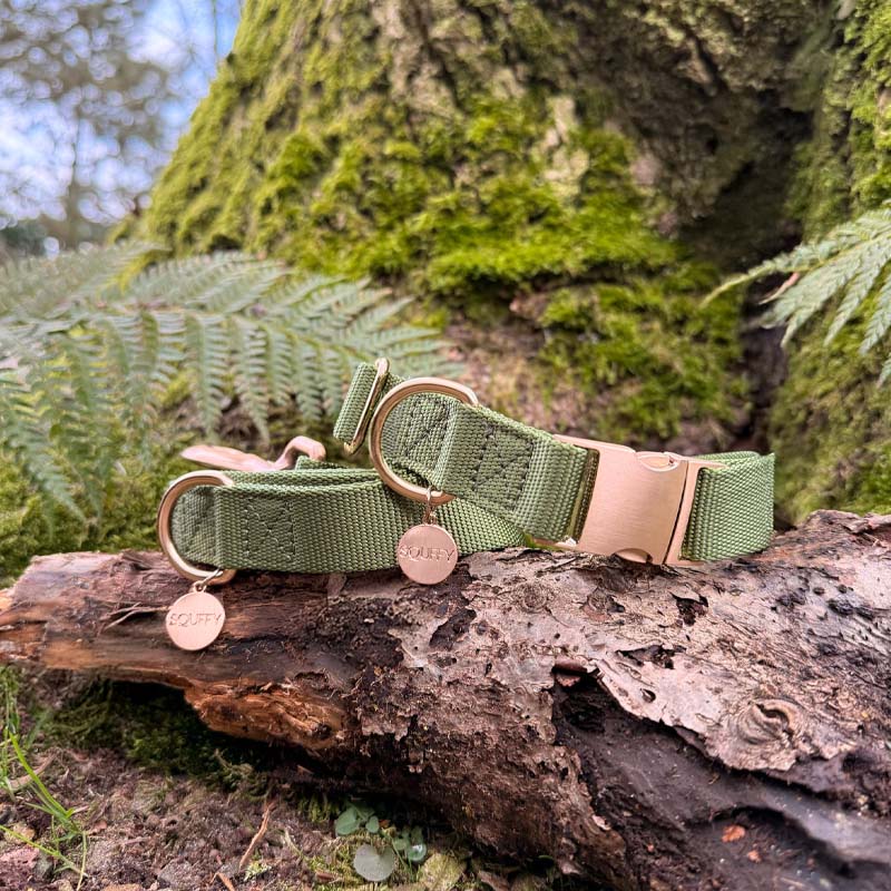 Collar Clásico Perro Moss Breeze Verde Oliva