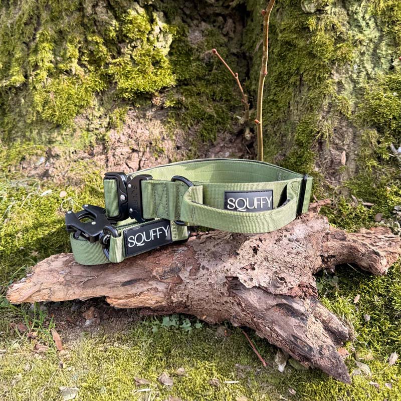 Collar Táctico Perros Moss Forge Verde Oliva