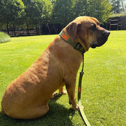Collar Táctico Perros Moss Forge Verde Oliva