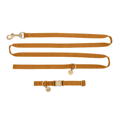 Collar Cachorro Honey Drift Coñac