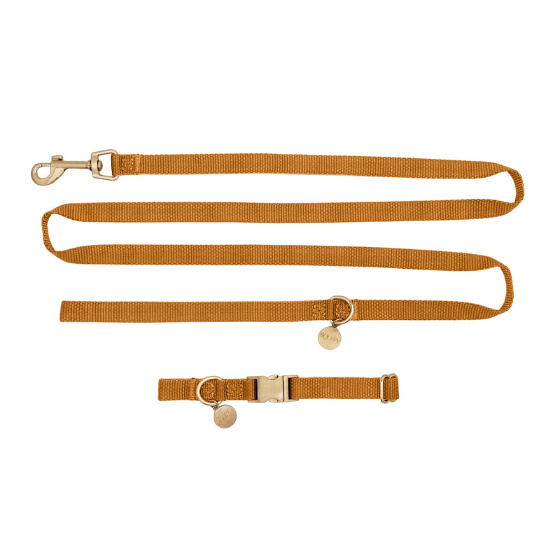 Collar Cachorro Honey Drift Coñac