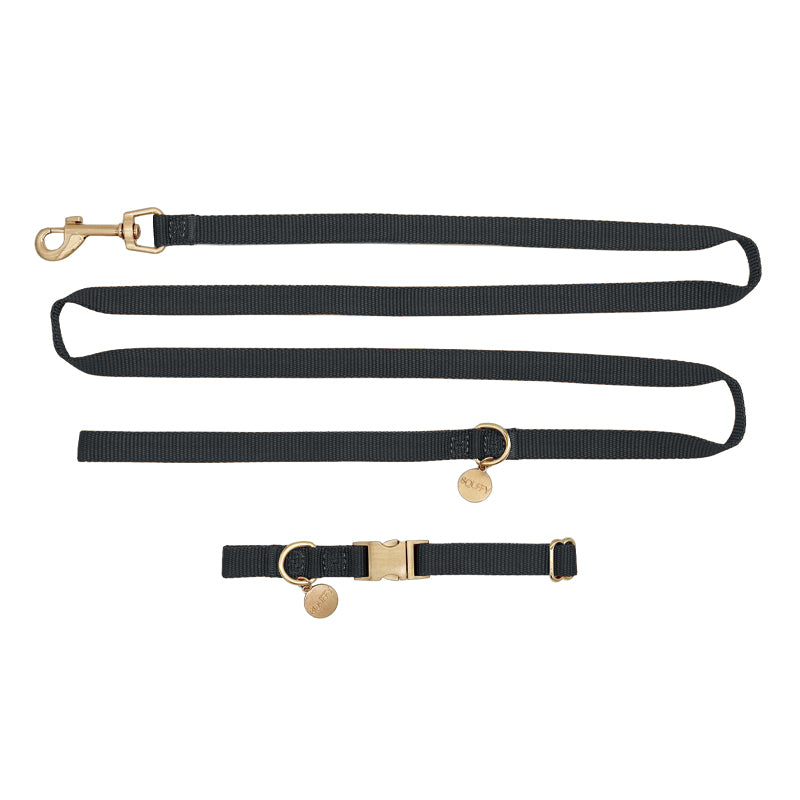 Collar Cachorro Raven Illume Negro