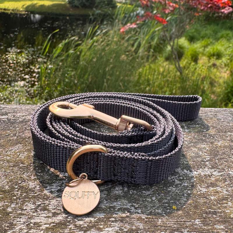 Correa Cachorro Raven Illume Negro
