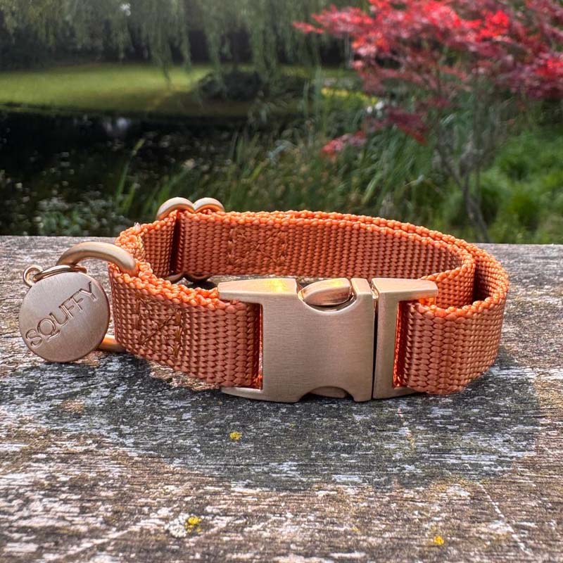 Collar Cachorro Honey Drift Coñac