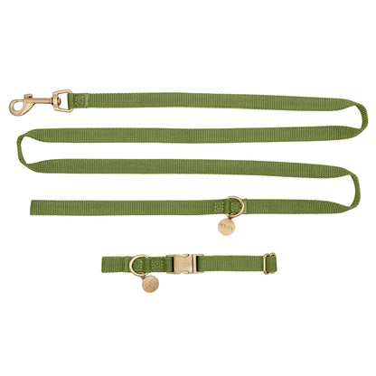 Collar Cachorro Moss Breeze Verde Oliva