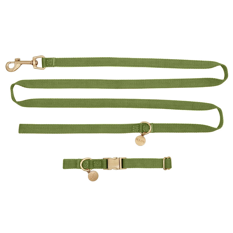 Collar Cachorro Moss Breeze Verde Oliva