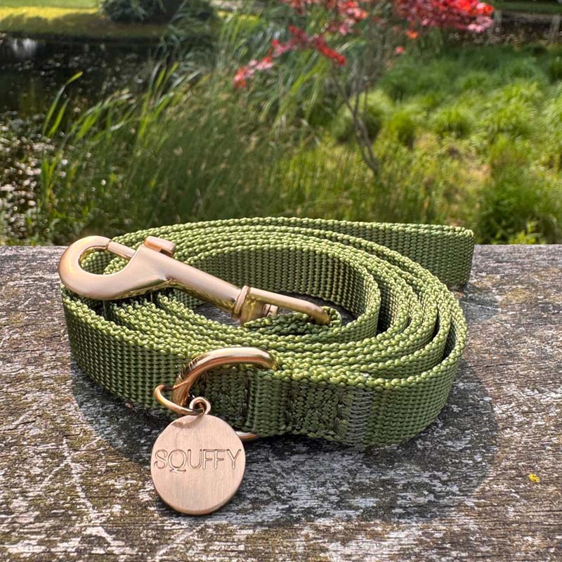 Correa Cachorro Moss Breeze Verde Oliva