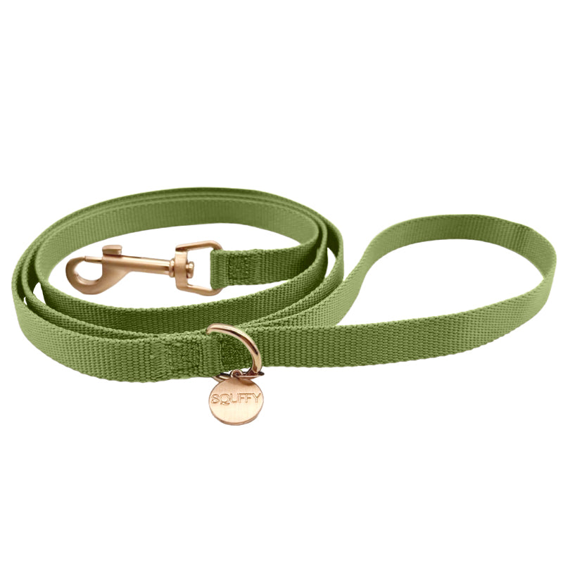 Correa Cachorro Moss Breeze Verde Oliva