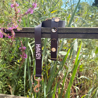 Collar Clásico Perro Raven Illume Negro