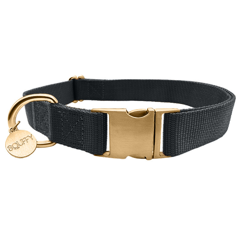 Collar Clásico Perro Raven Illume Negro