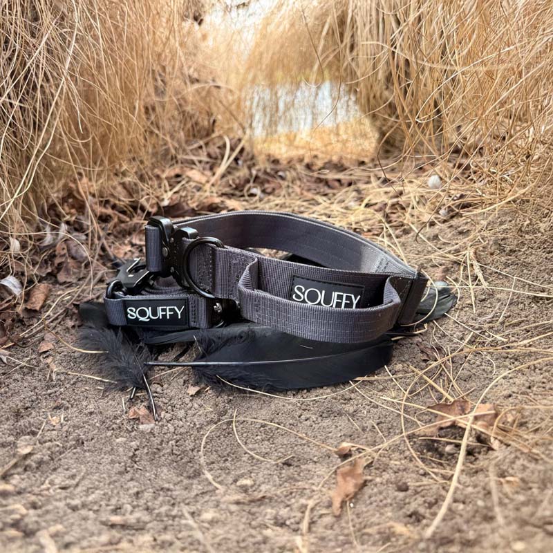 Collar Táctico Perros Raven Vex Negro
