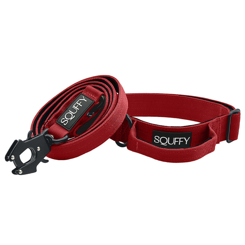 Collar Táctico Perros Ruby Vandal Rojo Rubí