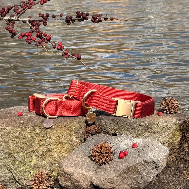 Collar Clásico para Perro Ruby Gale Rojo Rubí