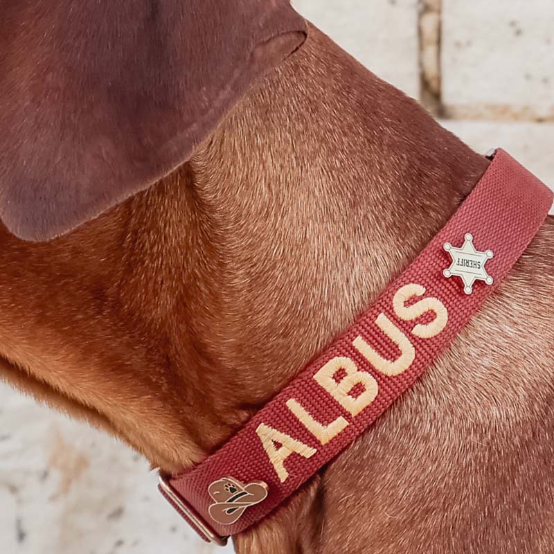 Estrella de Sheriff