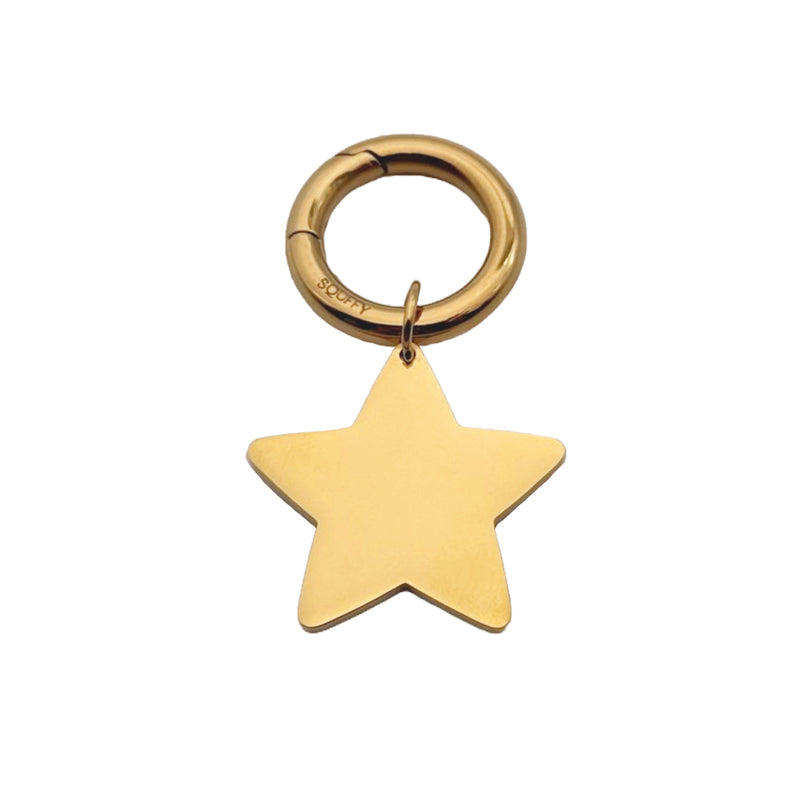 Placa de Estrella Grabada para Perro