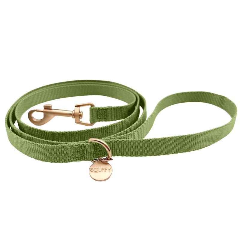 Correa Clásica Perro Moss Breeze Verde Oliva