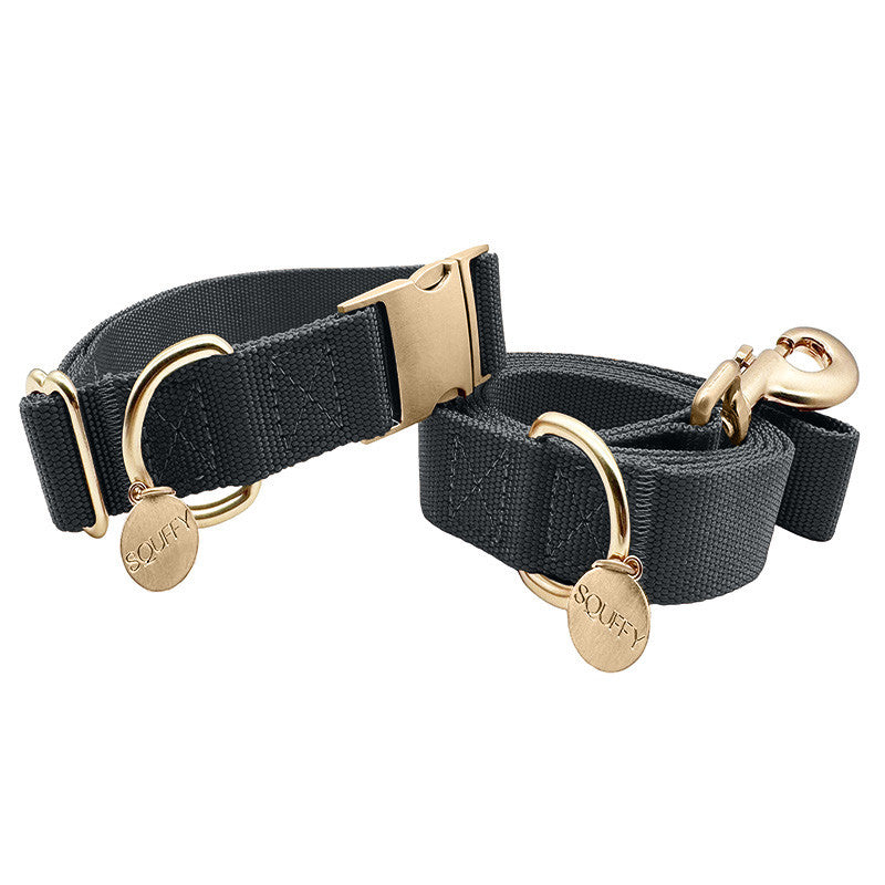 Collar Clásico Perro Raven Illume Negro
